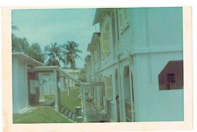 behind the houses in Wittering Road, 1968.
Keywords: Charles Mannell;Wittering Road