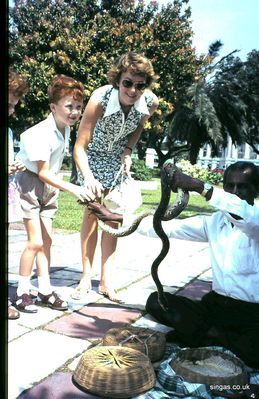 Snake Handler
1969 Singapore. Kevin & Marje with snake handler.
Keywords: 1969;Kevin Smith;Snake Handler