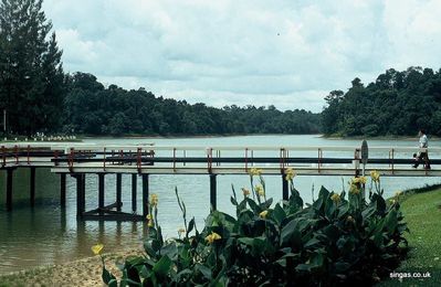 MacRitchie Reservoir
Keywords: Scott Horton;MacRitchie Reservoir