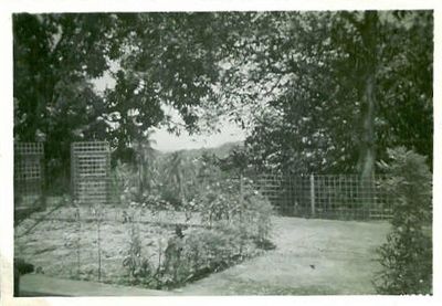 9 Lock Road, Gillman Barracks
Part of the front garden, at 9 Lock Road, Gillman Barracks
Keywords: Margaret Gardener;1955;1957;Lock Road