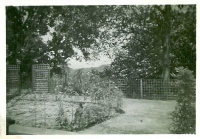 9 Lock Road, Gillman Barracks
Part of the front garden, at 9 Lock Road, Gillman Barracks
Keywords: Margaret Gardener;1955;1957;Lock Road