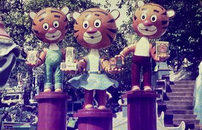 The 3 Fiji tigers 
