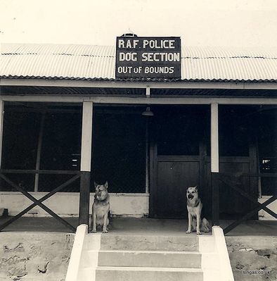 Police Dog Kennels
RAF Tengah.  Police Dog Kennels
Keywords: RAF Tengah;John Simner