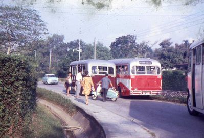 The school bus
The school bus, which was B4,  had a small accident just after picking my twin brother and I up outside our house. My mother, in the orange dress is going to see what has happened.
Keywords: School Bus