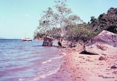 The west half of the beach
Keywords: Changi;beach