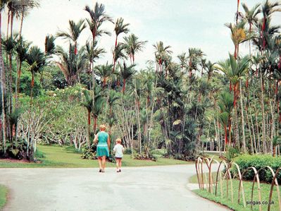 Botanical Gardens
My Mum, Nora Macdonald, and me at the Botanical Gardens
Keywords: Botanic Gardens;Nora MacDonald