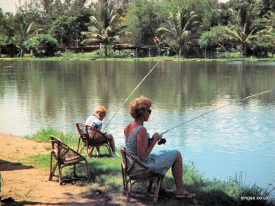 Fishing lakes along the Changi Road
Keywords: Fishing lakes;Changi