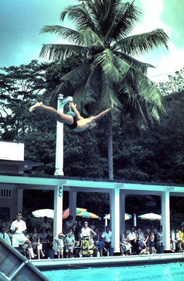 Leslie Rutledge has identified himself as the diver
Leslie Rutledge has identified himself as the diver in this photo.  Leslie said, "The event was actually May/June 1964 and I do believe the last time the gala was held at Gillman barracks as the new Dover road pool had just opened."
Keywords: Bill Johnston;Wessex Junior;Pasir Panjang Junior;School;Leslie Rutledge;1964;Gillman