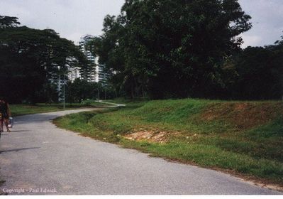 Sussex Estate 1999
The entrance to the estate would have been on the left hand side of the road, just after the bend.
Keywords: Paul Edwick;Sussex Estate;1999