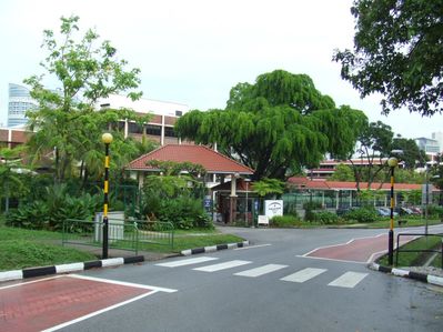 The school in the background now is Tanglin Trust
taken in 2009 by Bill Johnston.

The school in the background now is Tanglin Trust, a very large, now all age, private school.
Keywords: Bill Johnston;Wessex Junior;Pasir Panjang Junior;School;Tanglin Trust;2009
