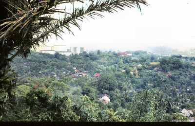 1969 Singapore. View from Mt Faber.
1969 Singapore. View from Mt Faber.
Keywords: 1969;Kevin Smith;Mt Faber