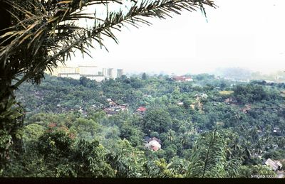 1969 Singapore. View from Mt Faber.
1969 Singapore. View from Mt Faber.
Keywords: 1969;Kevin Smith;Mt Faber