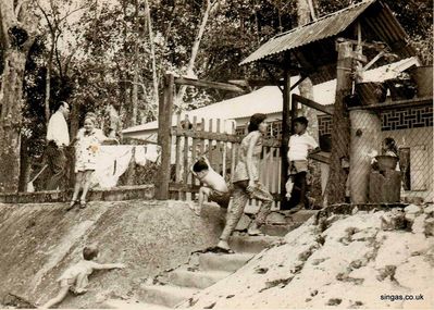 Our Amah's kampong.
Our Amah's kampong. I think it was Yew Tee village outside the main Kranji gates. She used to invite us for a meal there and her husband cooked us chinese food.
Keywords: Lucy Childs;Amah;kampong;Yew Tee village;Kranji