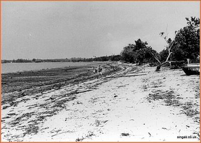 Changi Beach 1964
Keywords: Changi Beach 1964