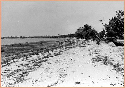 Changi Beach 1964
Keywords: Changi Beach 1964