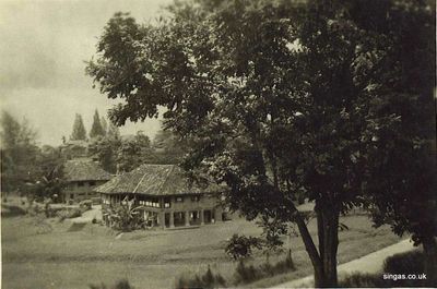 Dockyard Club
This was captioned " View from Dockyard Club" and would appear to be the view looking south.
Keywords: Lou Watkins;Dockyard Club