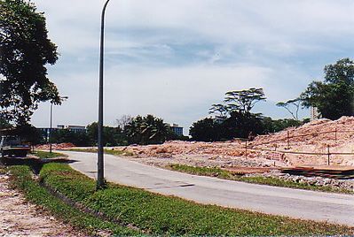 Sussex Estate 2001
Now preparing the land for the building of a new school.
Keywords: Paul Edwick;Sussex Estate;2001