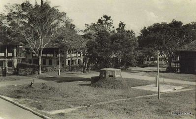 Falkland Road
This photo was not labelled, but we think it may be Falkland Road in the Naval Base, but if anyone can identify it, let me know.
Keywords: Lou Watkins;Falkland Road;Naval Base