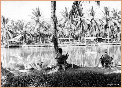 Seletar Fishing Ponds
Another view of the Fishing Ponds at Seletar 1964
Keywords: Seletar Fishing Ponds;1964