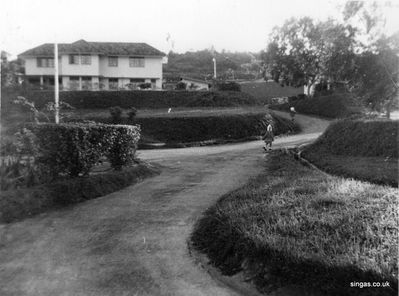 1960/61 me off to catch the bus to Alexandra Grammar
1960/61 me off to catch the bus to Alexandra Grammar School from our house at Prince Edward Park- did anyone else live there?
Keywords: Susan Perry;Alexandra Grammar;1960;Prince Edward Park