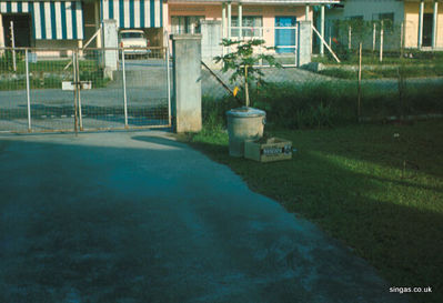 Jalan Kemuning
View from our bungalow in Jalan Kemuning looking across to what I think was the Poverâ€™s bungalow (Leslie Pover their daughter sculpted the new Nelson Trafalgar 200 statue in Portsmouth)
Keywords: Lou Watkins;Jalan Kemuning;Leslie Pover