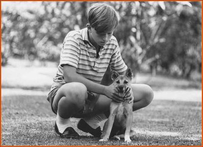 Alan Cottrell
Me with our dog Jeannie in garden of 17 Prince Georgeâ€™s Park circ Jan 1965.
Keywords: Prince Georgeâ€™s Park