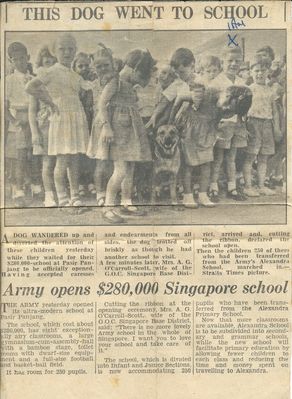 New School - Pasir Panjang  Infant & Juniors
New school newspaper clipping
Keywords: Ian Mackins