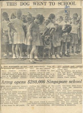 New School - Pasir Panjang  Infant & Juniors
New school newspaper clipping
Keywords: Ian Mackins