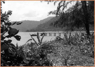 Field Trip to Pulau Tioman â€“ July 1967
The landing jetty â€“ Pulau Tioman 1967
Keywords: Pulua Tioman;Landing Jetty