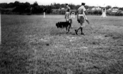 RAF Police Dogs - Changi 1955
Keywords: Changi;RAF;1955;Police Dog