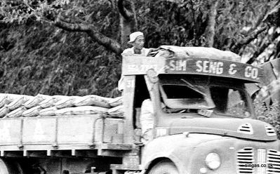 Riding Shotgun
taken in and around Holland Village. Health and Safety certainly didn't exist in those days!"
Keywords: Maurice Hann;Holland Village;lorrys;trucks