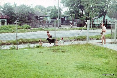 Christine, Tony, Marion, Raymond & Keith With Stray Goat.
Keywords: Christine Egan