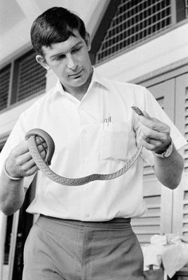 Snake caught in a Bourne School Basha hut
Snake caught in a Bourne School Basha hut, being held by the late Tony Walton (Biology Teacher).
Keywords: Maurice Hann;Tony Walton;Bourne School;Basha hut;snake