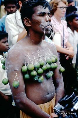 Thaipussam 1966
In a state of trance. Thaipussam 1966
Keywords: Frank Clewes;Thaipussam;1966