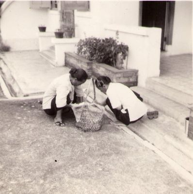 The Egg Lady
My thanks to Anthony Rickard for this photo.

The Egg Lady doing business with Chua Boon Hwa, our Amah - 27/11/57.
Keywords: RAF Changi;Chua Boon Hwa;1957