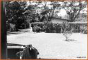 27_merryn_road_1965_front_garden.jpg