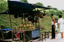 durian.jpg