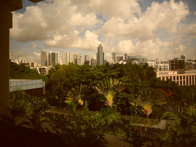 View from the Karanji Cemetery
