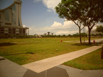 Bay Gardens South
The new Singapore
