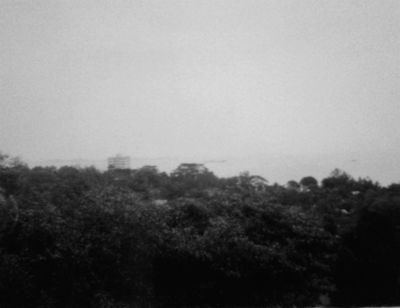 View from Garden at Island View - 1969
