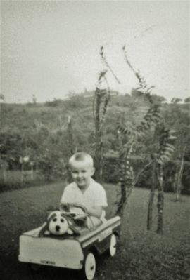 My little brother in the garden with his car - Island View 1970

