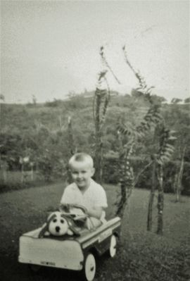 My little brother in the garden with his car - Island View 1970
