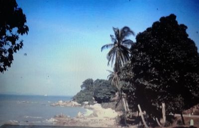 Coast - unknown location - 1960/1
