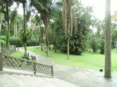 Botanic Gardens - 2012
