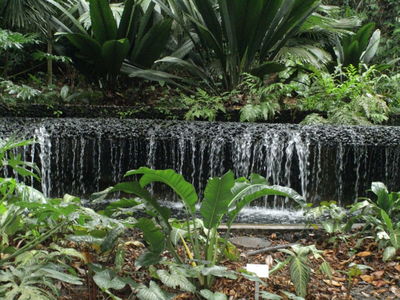 Botanic Gardens - 2012
