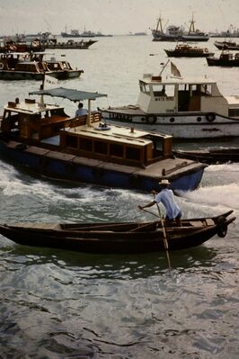 Traffic jam on the river!
