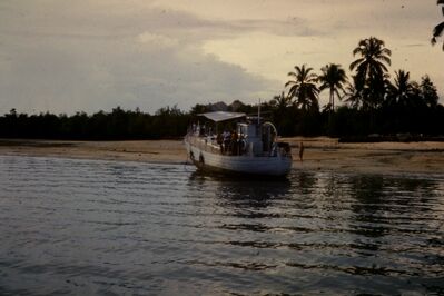 Navy banyan run aground
