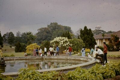 Fish pond Sultan's Mosque Johore
