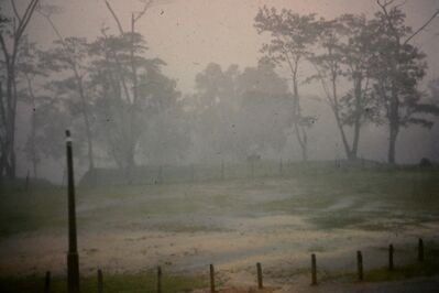 Monsoon Season
Keywords: Anne Thorn