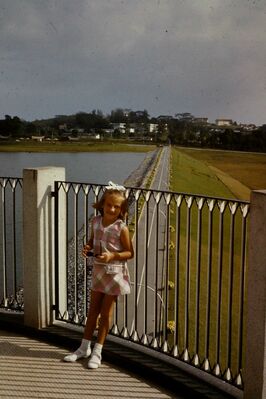 Seletar Reservoir 1969
Keywords: Anne Thorn